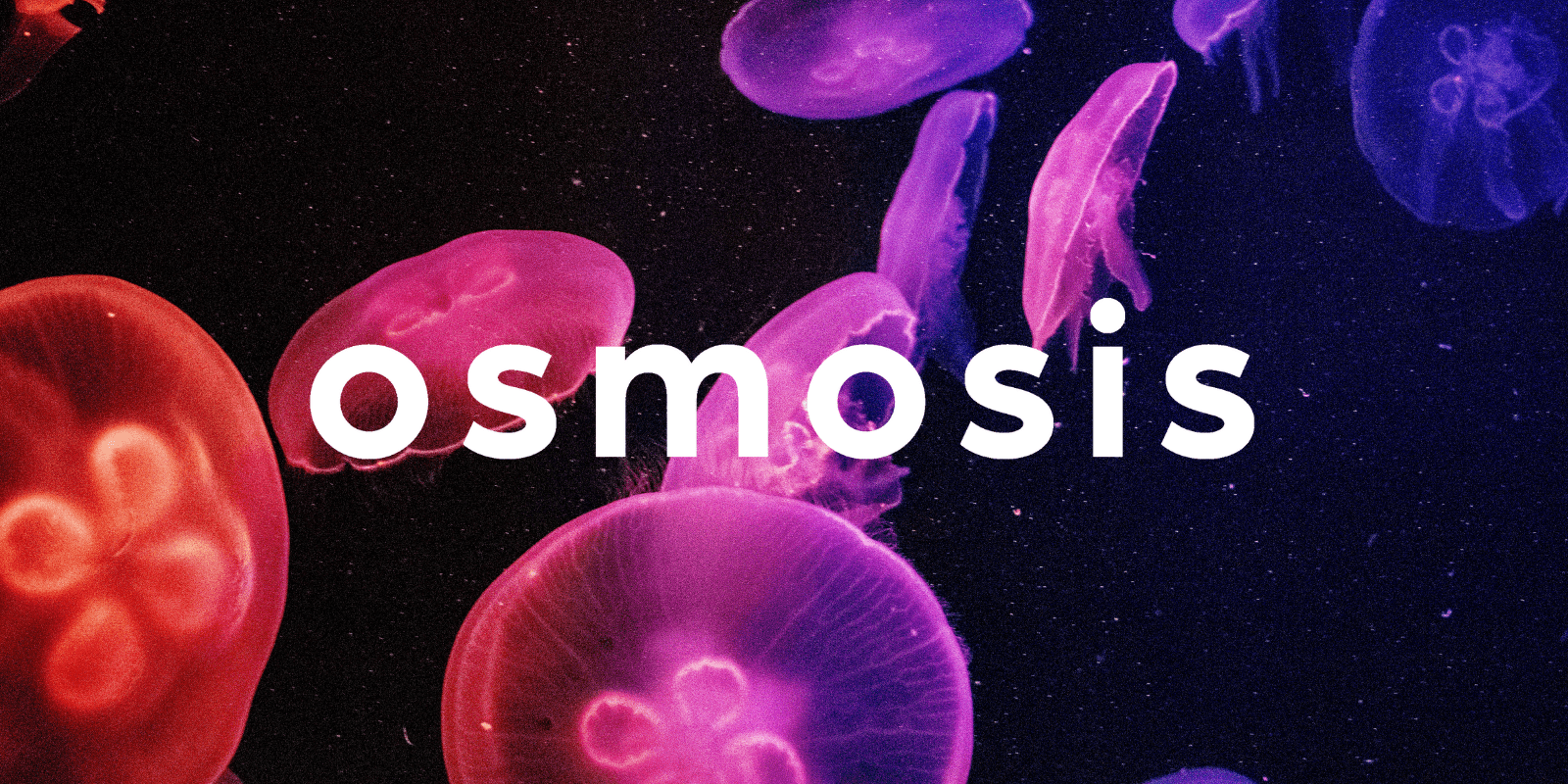 Zoomies osmosis banner | Sero Canada