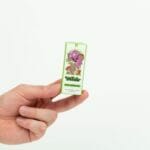 Wonder – Psilocybin Chocolate Bar – Dark Chocolate | Sero Canada