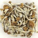 Florida White | Sero Canada
