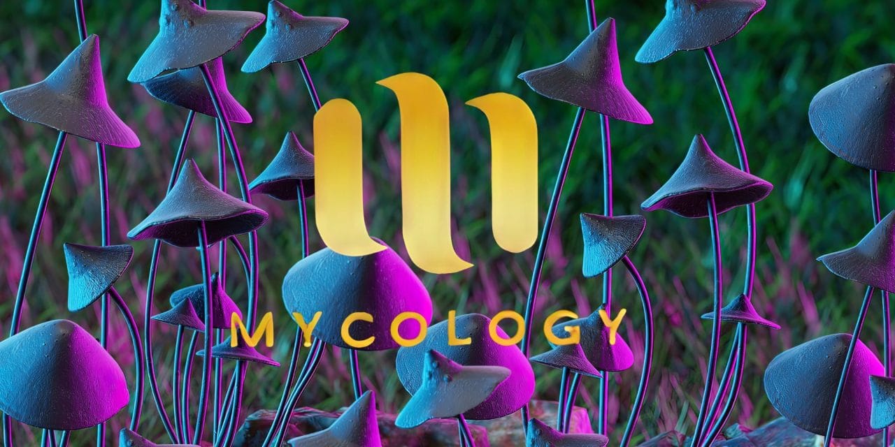 Zoomies Summer 2023 Banner - Mycology | Sero Canada