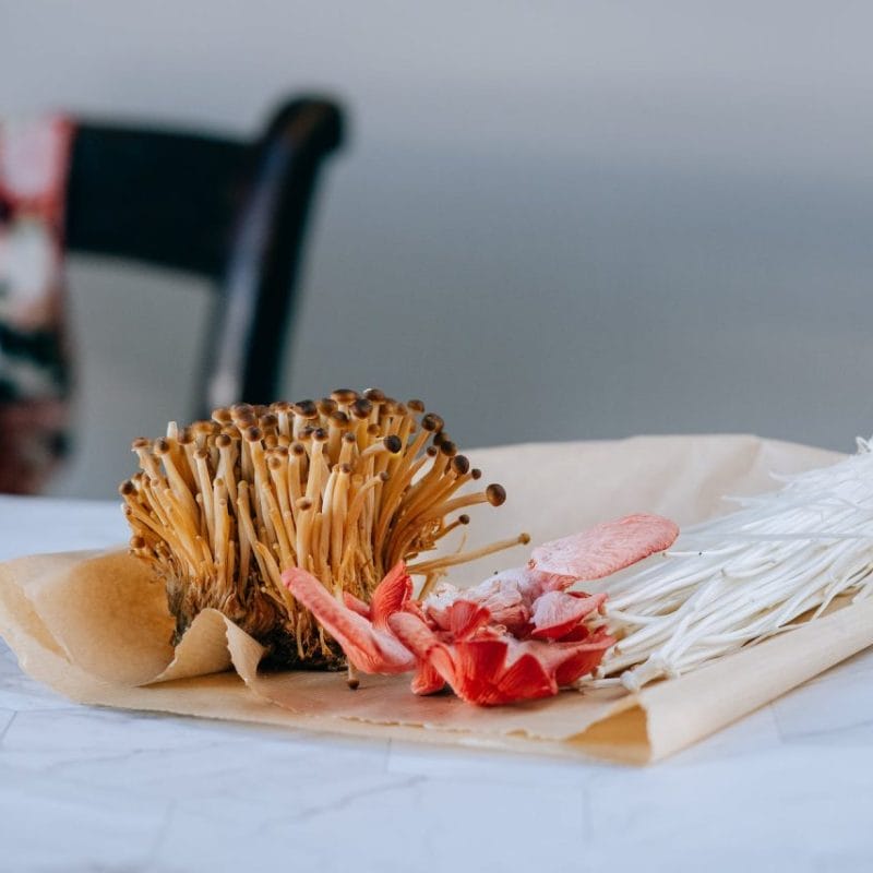 Buy Shrooms Online Canada (1) | Sero Canada