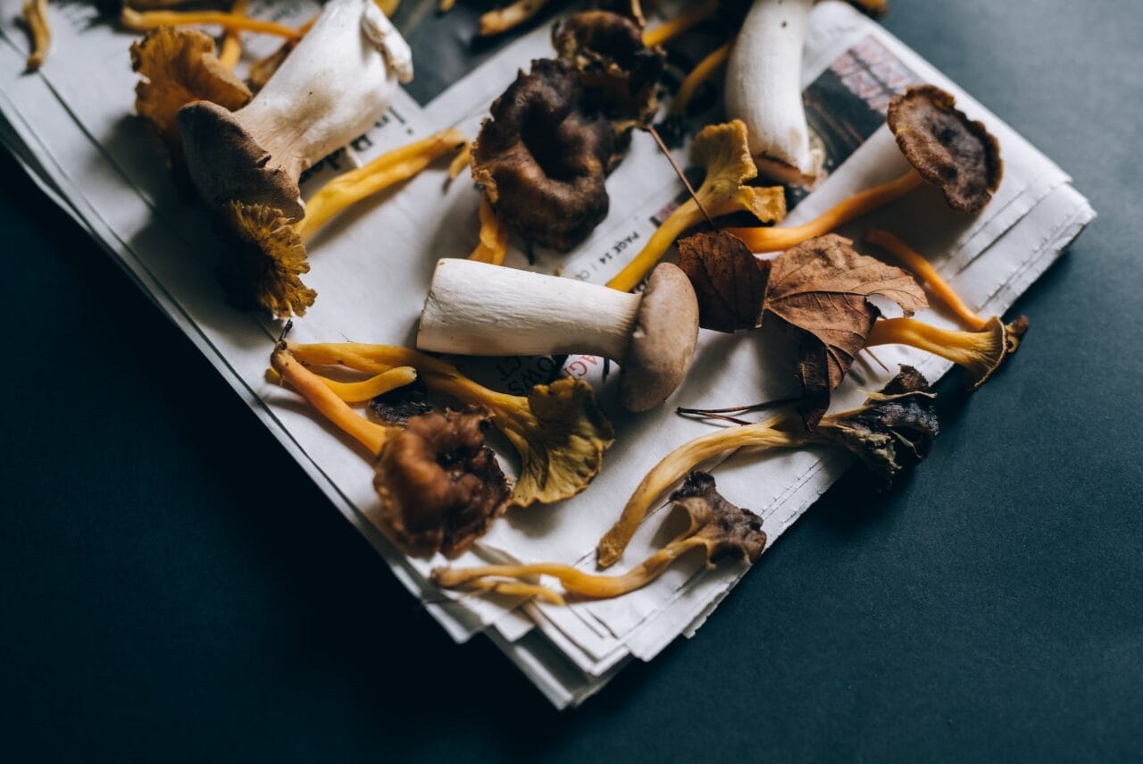 Do Shrooms and Chocolate Go Together?